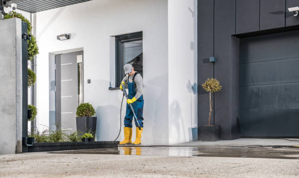 Best Pre-Holiday Cleaning  in Rio Grande City, TX